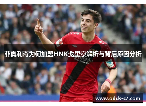 菲奥利奇为何加盟HNK戈里察解析与背后原因分析