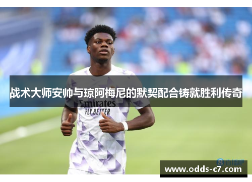 战术大师安帅与琼阿梅尼的默契配合铸就胜利传奇