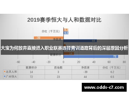 大宝为何放弃直接进入职业联赛选择青训道路背后的深层原因分析