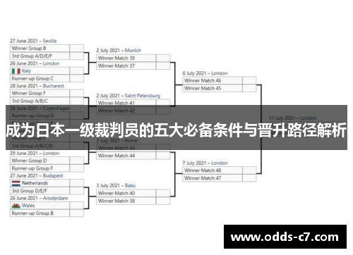 成为日本一级裁判员的五大必备条件与晋升路径解析