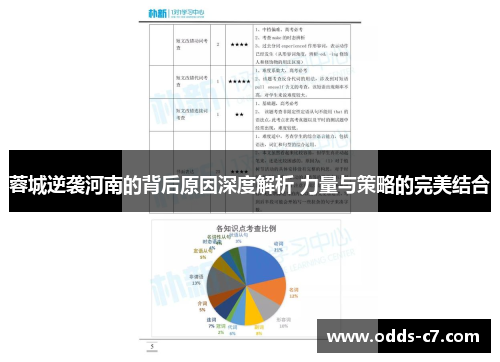 蓉城逆袭河南的背后原因深度解析 力量与策略的完美结合