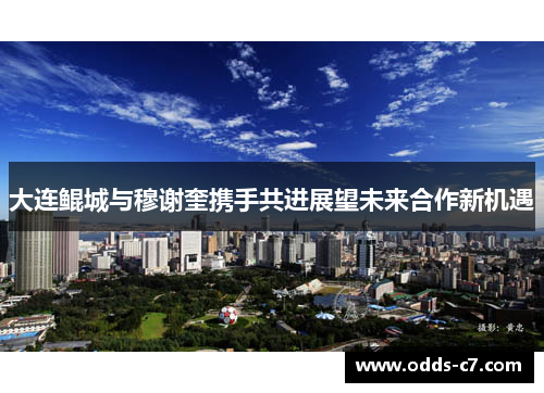 大连鲲城与穆谢奎携手共进展望未来合作新机遇