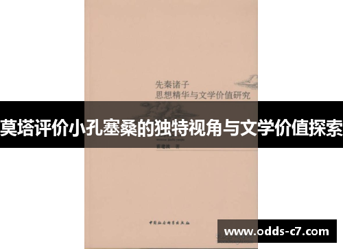莫塔评价小孔塞桑的独特视角与文学价值探索