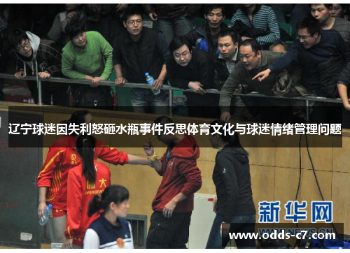 辽宁球迷因失利怒砸水瓶事件反思体育文化与球迷情绪管理问题