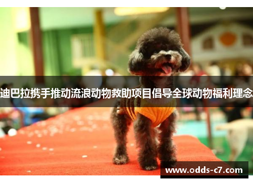 迪巴拉携手推动流浪动物救助项目倡导全球动物福利理念