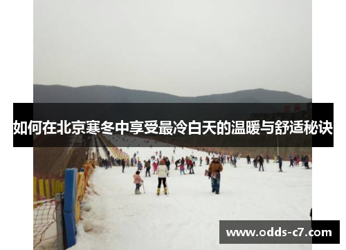 如何在北京寒冬中享受最冷白天的温暖与舒适秘诀