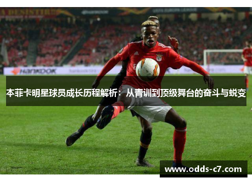 本菲卡明星球员成长历程解析：从青训到顶级舞台的奋斗与蜕变